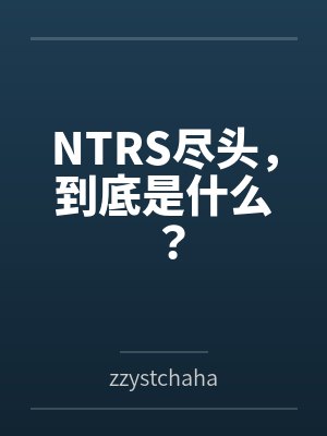 NTRS尽头,到底是什么? NTRS尽头,到底是什么?