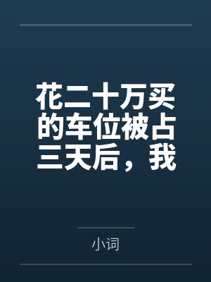 花二十万买的车位被占三天后,我顺手送走了整栋楼的主任 花二十万买的车位被占三天后,我顺手送走了整栋楼的主任